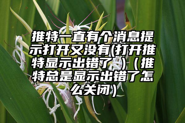 推特一直有个消息提示打开又没有(打开推特显示出错了 )（推特总是显示出错了怎么关闭）