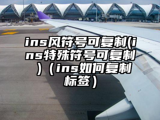 ins风符号可复制(ins特殊符号可复制 )（ins如何复制标签）