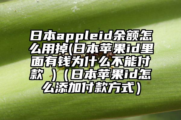 日本appleid余额怎么用掉(日本苹果id里面有钱为什么不能付款 )（日本苹果id怎么添加付款方式）