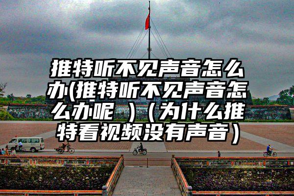 推特听不见声音怎么办(推特听不见声音怎么办呢 )（为什么推特看视频没有声音）