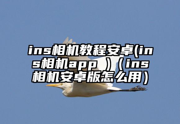 ins相机教程安卓(ins相机app )（ins相机安卓版怎么用）