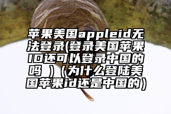 苹果美国appleid无法登录(登录美国苹果ID还可以登录中国的吗 )（为什么登陆美国苹果id还是中国的）