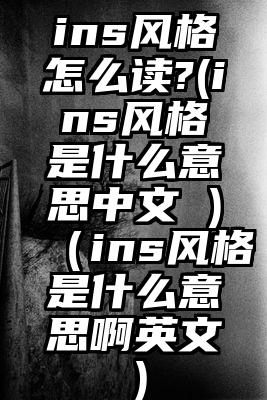 ins风格怎么读?(ins风格是什么意思中文 )（ins风格是什么意思啊英文）