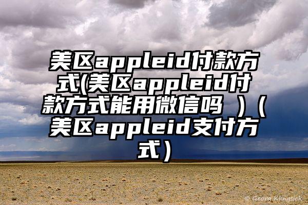 美区appleid付款方式(美区appleid付款方式能用微信吗 )（美区appleid支付方式）