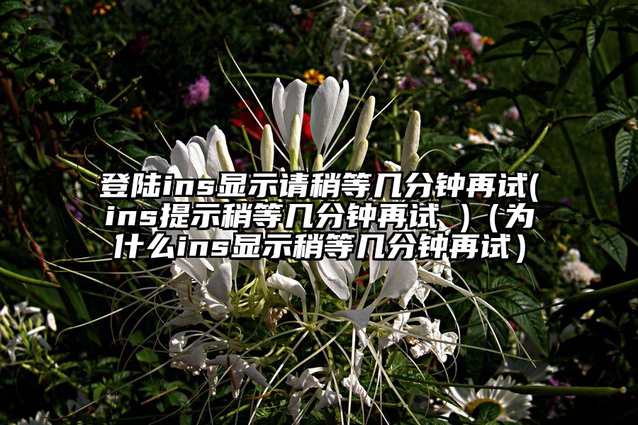 登陆ins显示请稍等几分钟再试(ins提示稍等几分钟再试 )（为什么ins显示稍等几分钟再试）