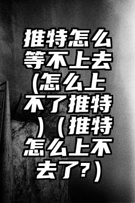 推特怎么等不上去(怎么上不了推特 )（推特怎么上不去了?）
