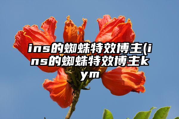 ins的蜘蛛特效博主(ins的蜘蛛特效博主kym