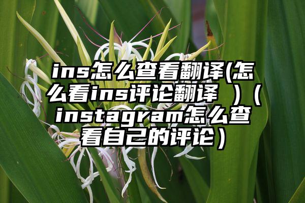 ins怎么查看翻译(怎么看ins评论翻译 )（instagram怎么查看自己的评论）