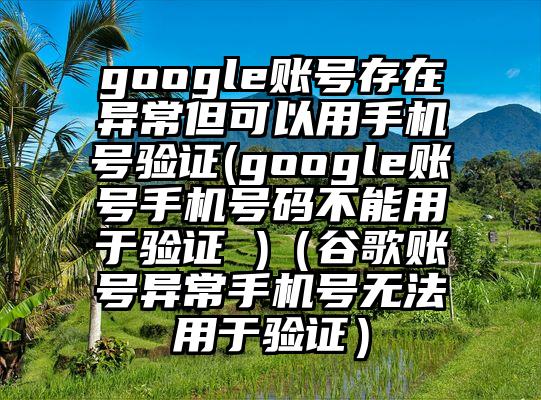 google账号存在异常但可以用手机号验证(google账号手机号码不能用于验证 )（谷歌账号异常手机号无法用于验证）