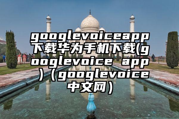 googlevoiceapp下载华为手机下载(googlevoice app )（googlevoice中文网）