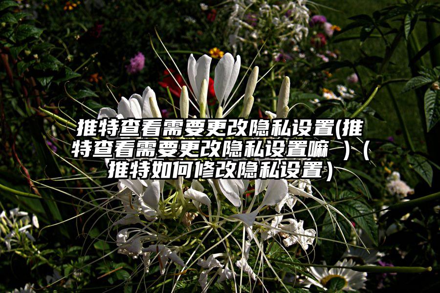 推特查看需要更改隐私设置(推特查看需要更改隐私设置嘛 )（推特如何修改隐私设置）