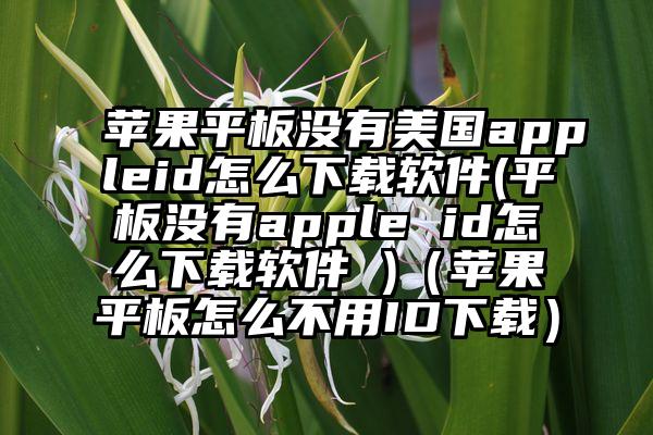 苹果平板没有美国appleid怎么下载软件(平板没有apple id怎么下载软件 )（苹果平板怎么不用ID下载）