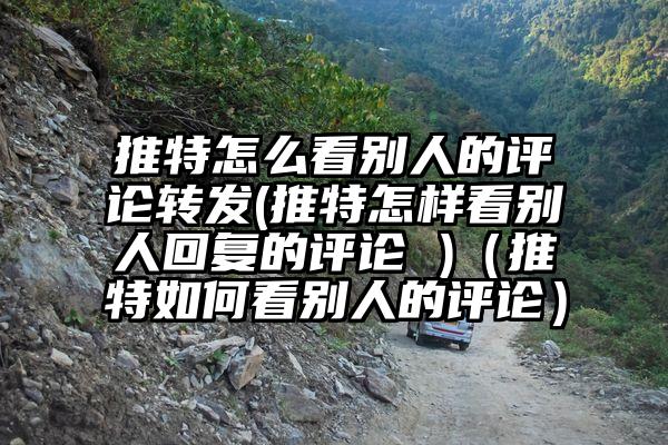 推特怎么看别人的评论转发(推特怎样看别人回复的评论 )（推特如何看别人的评论）