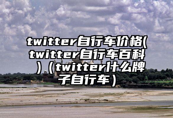 twitter自行车价格(twitter自行车百科 )（twitter什么牌子自行车）
