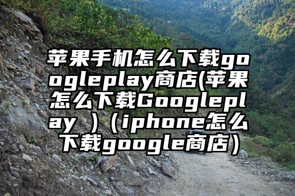 苹果手机怎么下载googleplay商店(苹果怎么下载Googleplay )（iphone怎么下载google商店）