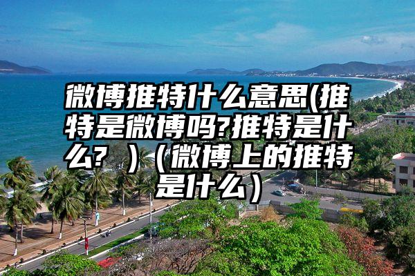 微博推特什么意思(推特是微博吗?推特是什么? )（微博上的推特是什么）