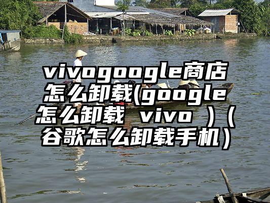 vivogoogle商店怎么卸载(google怎么卸载 vivo )（谷歌怎么卸载手机）