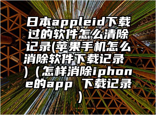 日本appleid下载过的软件怎么清除记录(苹果手机怎么消除软件下载记录 )（怎样消除iphone的app 下载记录）
