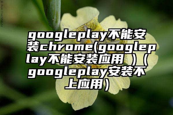 googleplay不能安装chrome(googleplay不能安装应用 )（googleplay安装不上应用）