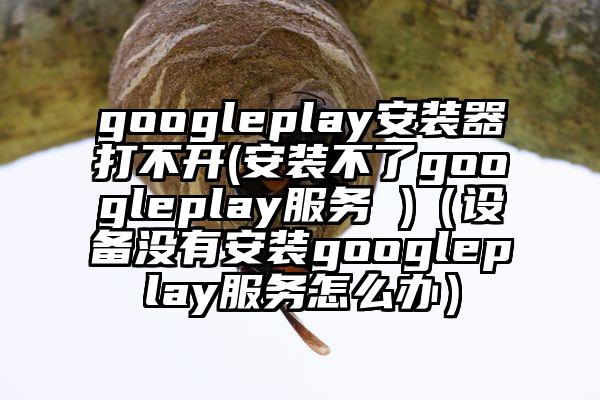 googleplay安装器打不开(安装不了googleplay服务 )（设备没有安装googleplay服务怎么办）