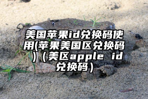 美国苹果id兑换码使用(苹果美国区兑换码 )（美区apple id兑换码）