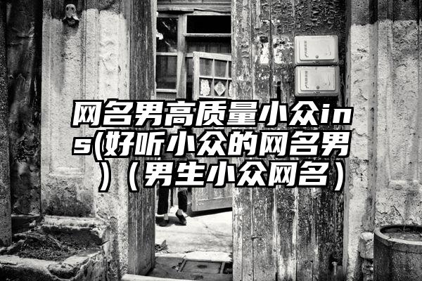 网名男高质量小众ins(好听小众的网名男 )（男生小众网名）