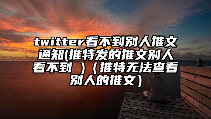 twitter看不到别人推文通知(推特发的推文别人看不到 )（推特无法查看别人的推文）