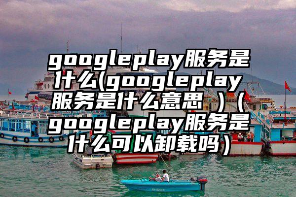 googleplay服务是什么(googleplay服务是什么意思 )（googleplay服务是什么可以卸载吗）