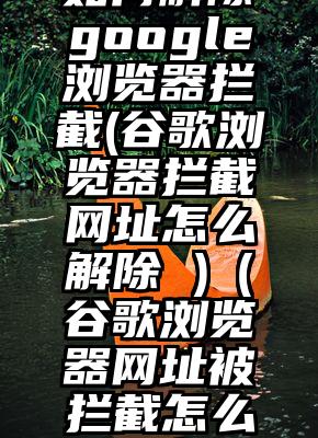 如何解除google浏览器拦截(谷歌浏览器拦截网址怎么解除 )（谷歌浏览器网址被拦截怎么取消）