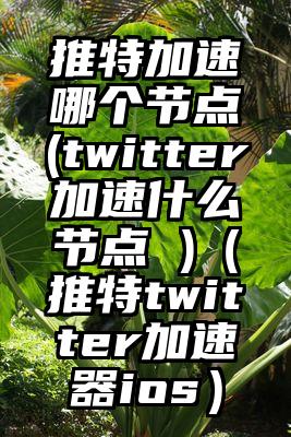 推特加速哪个节点(twitter加速什么节点 )（推特twitter加速器ios）