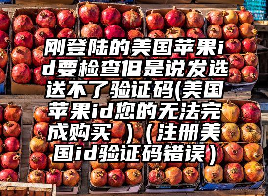 刚登陆的美国苹果id要检查但是说发选送不了验证码(美国苹果id您的无法完成购买 )（注册美国id验证码错误）