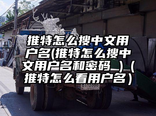 推特怎么搜中文用户名(推特怎么搜中文用户名和密码 )（推特怎么看用户名）