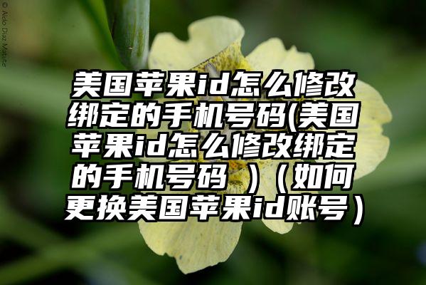 美国苹果id怎么修改绑定的手机号码(美国苹果id怎么修改绑定的手机号码 )（如何更换美国苹果id账号）