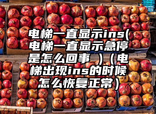 电梯一直显示ins(电梯一直显示急停是怎么回事 )（电梯出现ins的时候怎么恢复正常）