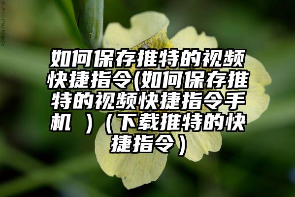 如何保存推特的视频快捷指令(如何保存推特的视频快捷指令手机 )（下载推特的快捷指令）