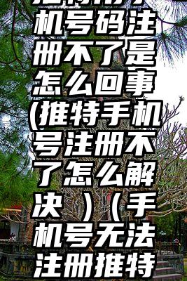 推特用手机号码注册不了是怎么回事(推特手机号注册不了怎么解决 )（手机号无法注册推特怎么办）