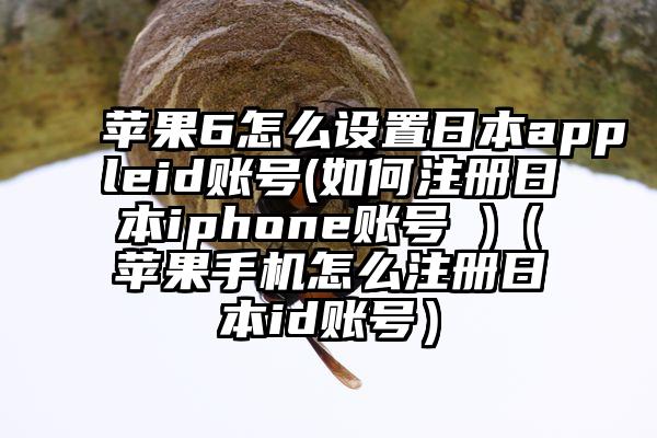 苹果6怎么设置日本appleid账号(如何注册日本iphone账号 )（苹果手机怎么注册日本id账号）