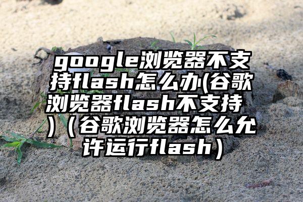 google浏览器不支持flash怎么办(谷歌浏览器flash不支持 )（谷歌浏览器怎么允许运行flash）