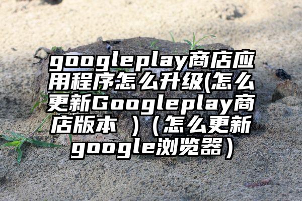 googleplay商店应用程序怎么升级(怎么更新Googleplay商店版本 )（怎么更新google浏览器）