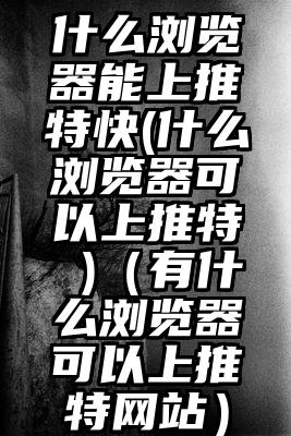 什么浏览器能上推特快(什么浏览器可以上推特 )（有什么浏览器可以上推特网站）