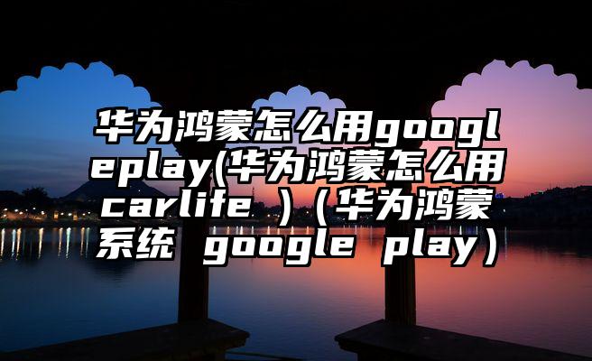 华为鸿蒙怎么用googleplay(华为鸿蒙怎么用carlife )（华为鸿蒙系统 google play）