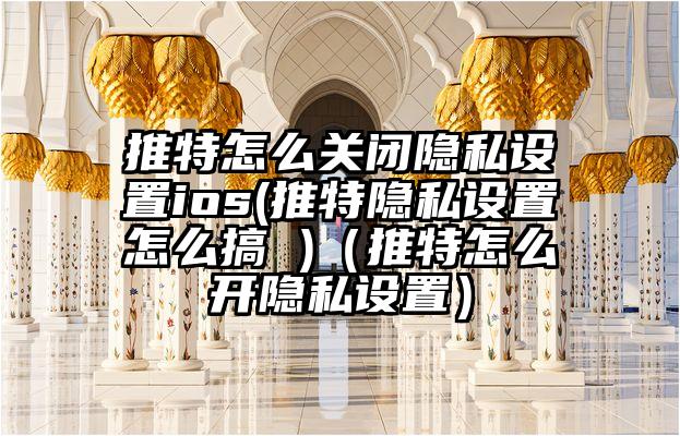 推特怎么关闭隐私设置ios(推特隐私设置怎么搞 )（推特怎么开隐私设置）