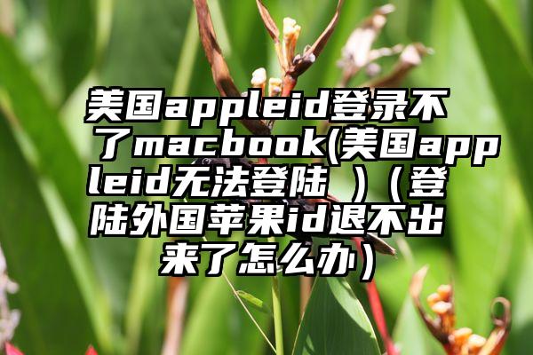 美国appleid登录不了macbook(美国appleid无法登陆 )（登陆外国苹果id退不出来了怎么办）