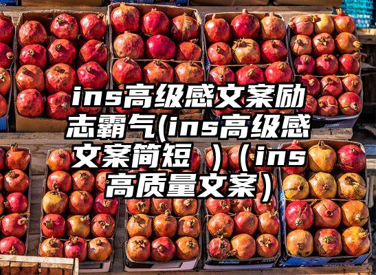 ins高级感文案励志霸气(ins高级感文案简短 )（ins高质量文案）