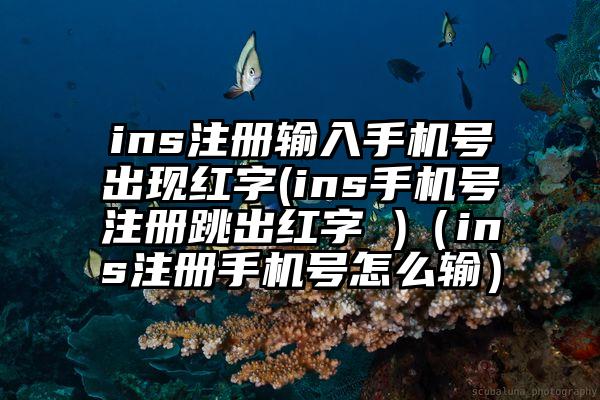 ins注册输入手机号出现红字(ins手机号注册跳出红字 )（ins注册手机号怎么输）