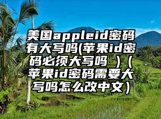 美国appleid密码有大写吗(苹果id密码必须大写吗 )（苹果id密码需要大写吗怎么改中文）