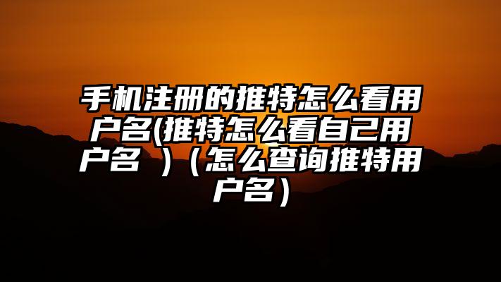 手机注册的推特怎么看用户名(推特怎么看自己用户名 )（怎么查询推特用户名）