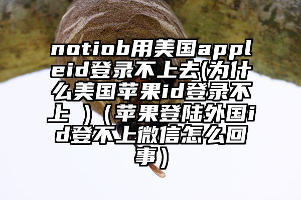 notiob用美国appleid登录不上去(为什么美国苹果id登录不上 )（苹果登陆外国id登不上微信怎么回事）