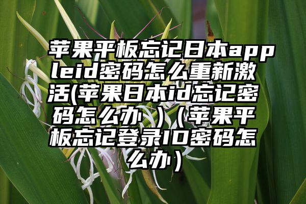 苹果平板忘记日本appleid密码怎么重新激活(苹果日本id忘记密码怎么办 )（苹果平板忘记登录ID密码怎么办）