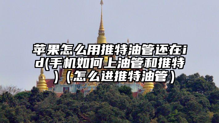 苹果怎么用推特油管还在id(手机如何上油管和推特 )（怎么进推特油管）